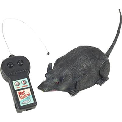 Click to get Remote Control Rat