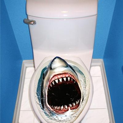 Click to get Prank Shark Toilet Topper