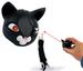 Pirate Cat Laser Toy