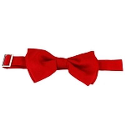 Click to get Doctor Who 11th Doctors Bowtie