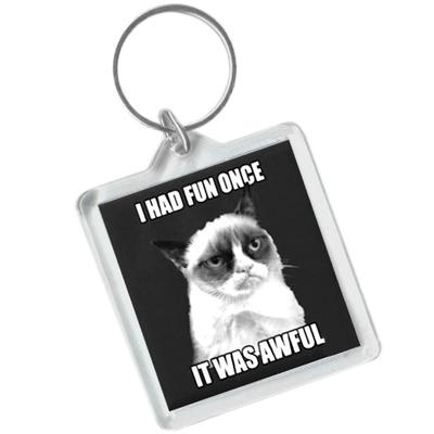 Click to get Grumpy Cat Keychain  I Had Fun Once